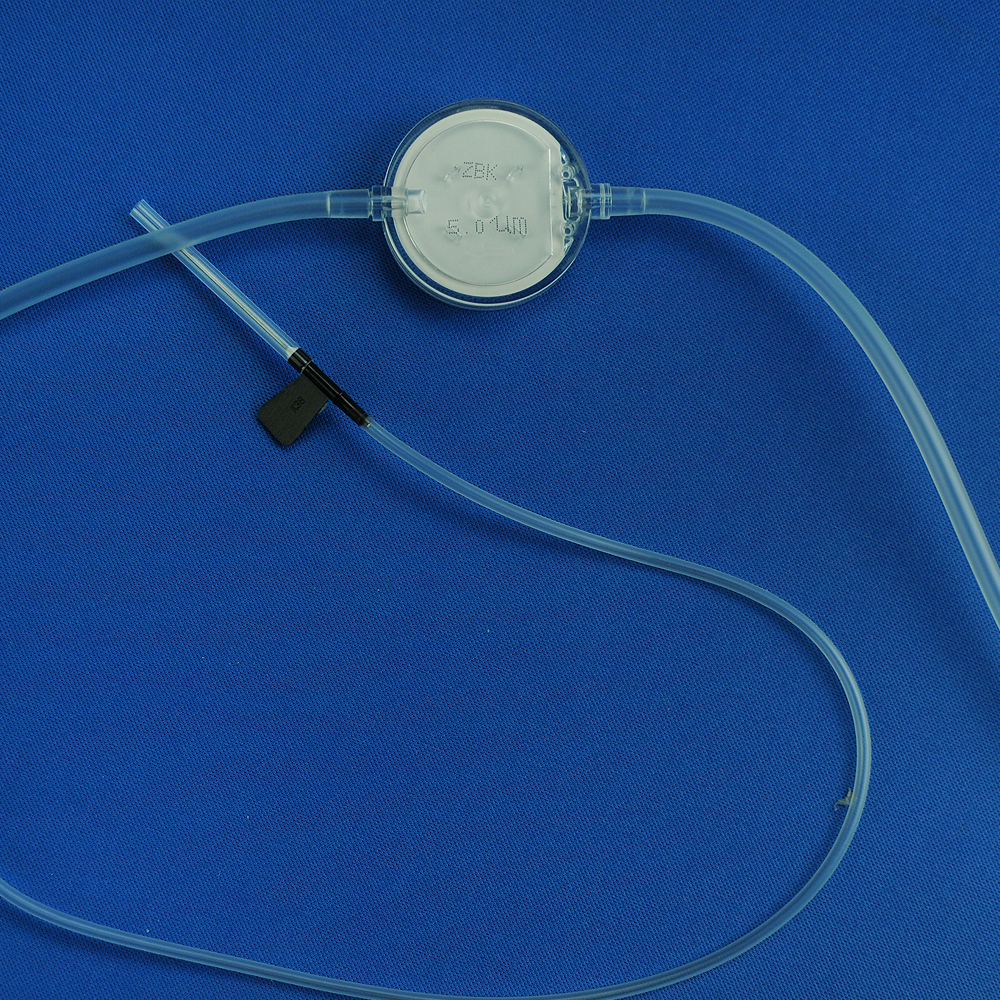 Free sample for Solution Filter - Infusion Set With Precise Filter And One Spike – Zhongbaokang Medical detail pictures